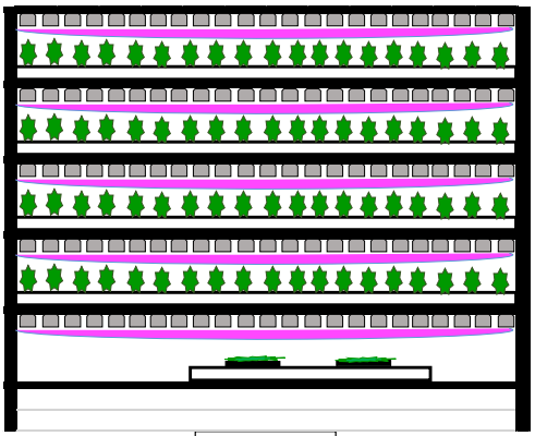 Organic Hydroponic Nursery & Propagation Channels