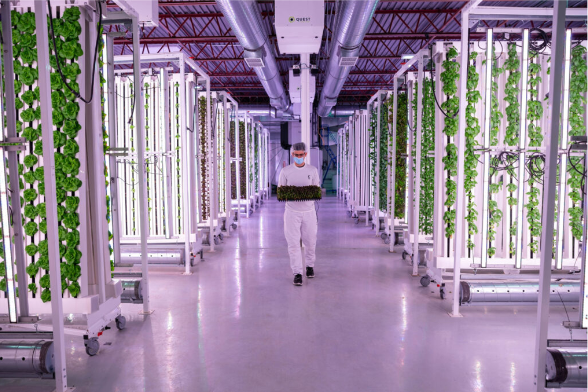 Canadian Vertical Farm ‘Taking Sustainability To The Next Level’