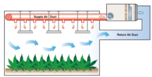 Indoor Agriculture Grow Room HVAC Checklist